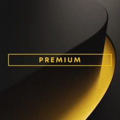 Abonnement-PlayStation Plus-Premium