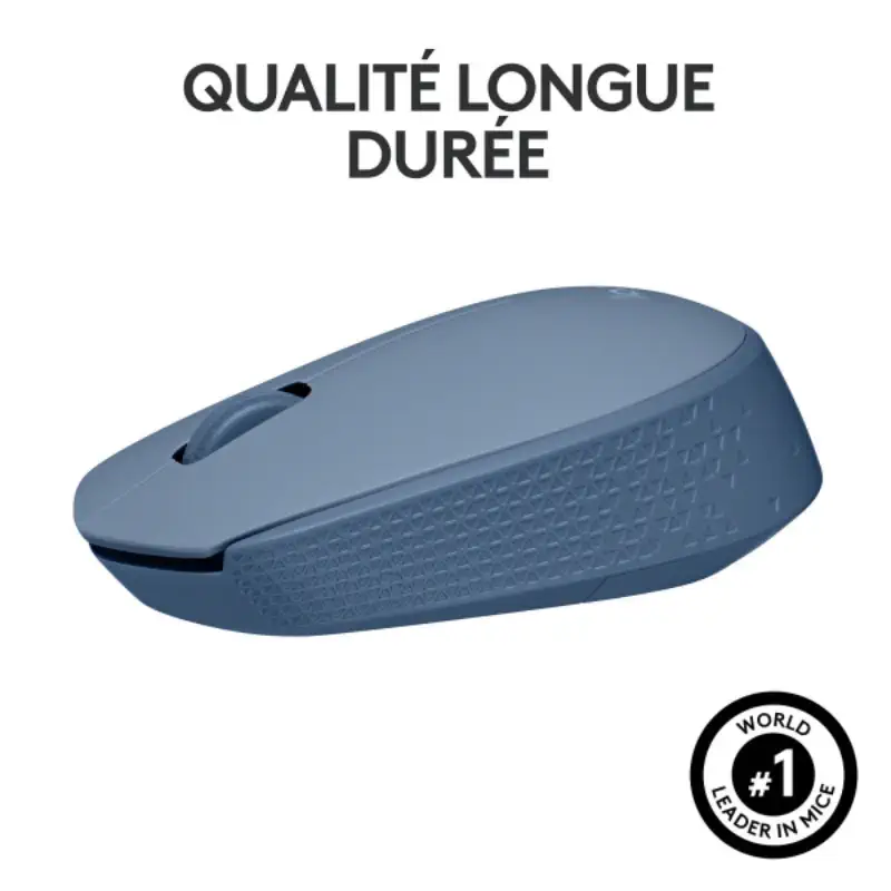 Logitech M171 Wireless Mouse (Blue Gray) au Prix Maroc