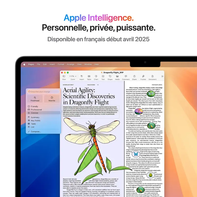 Apple MacBook Air M4 13 pouces (2025) Argent 24 Go/256 Go au Prix Maroc