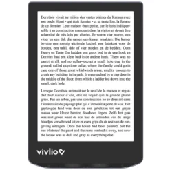 Vivlio Light HD Grise prix maroc