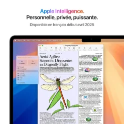 MacBook Air M4 13″ (2025) Argent – 16 Go / 512 Go SSD – Très bon état