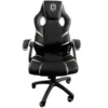 SKILLCHAIRS Raptor (Black/White) – Chaise Gaming en Simili-cuir (120 kg)
