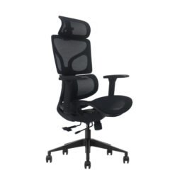 SKILLCHAIRS Ergo Calista (Black) prix maroc