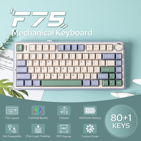 AULA F75 Cedar Green