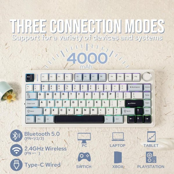 AULA F75 Glacier Blue (Reaper Switch)