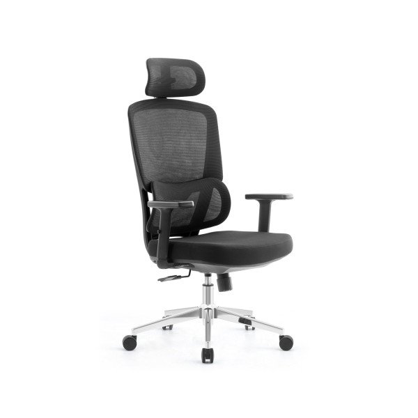 SKILLCHAIRS Ergo Dino prix maroc
