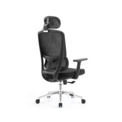 SKILLCHAIRS Ergo Dino prix maroc