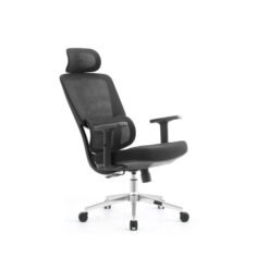 SKILLCHAIRS Ergo Dino prix maroc
