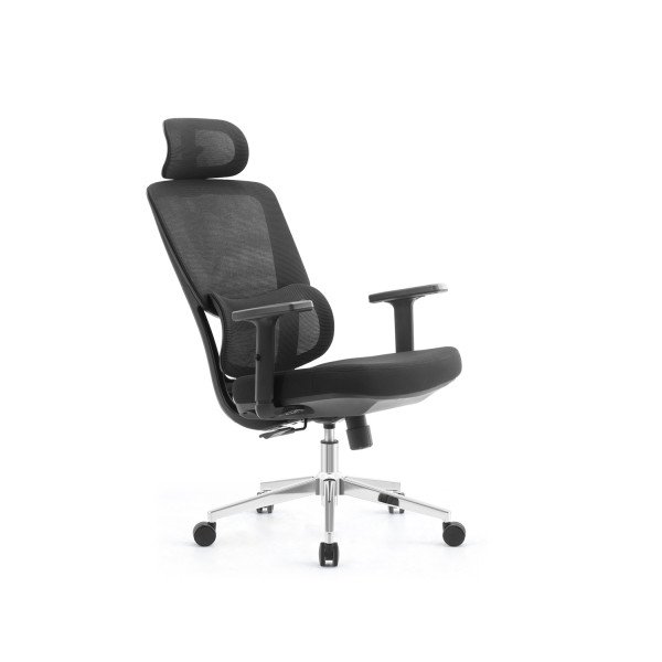 SKILLCHAIRS Ergo Dino prix maroc