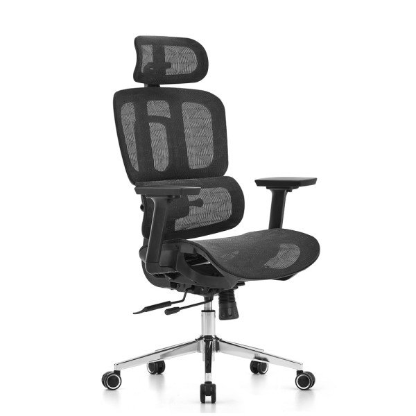 SKILLCHAIRS Ergo Venezia (Black) prix maroc
