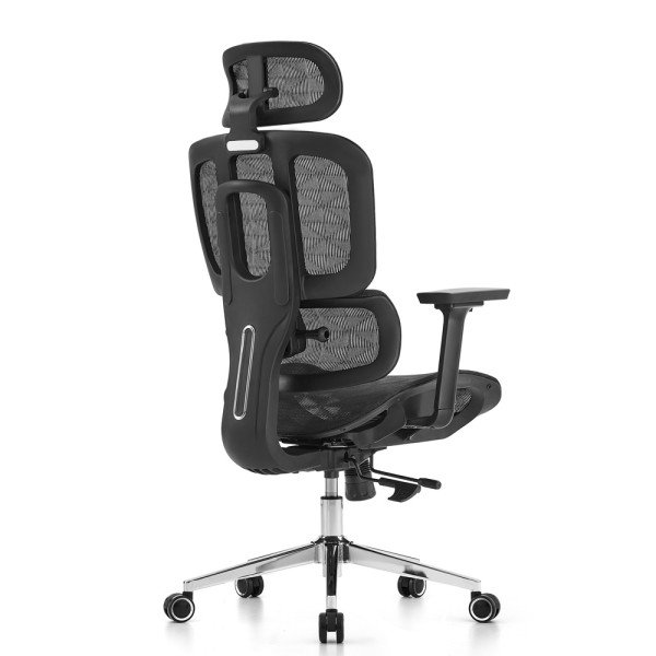 SKILLCHAIRS Ergo Venezia (Black) prix maroc
