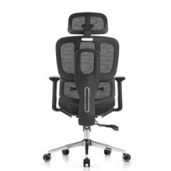 SKILLCHAIRS Ergo Venezia (Black) prix maroc
