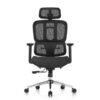 SKILLCHAIRS Ergo Venezia (Black) prix maroc