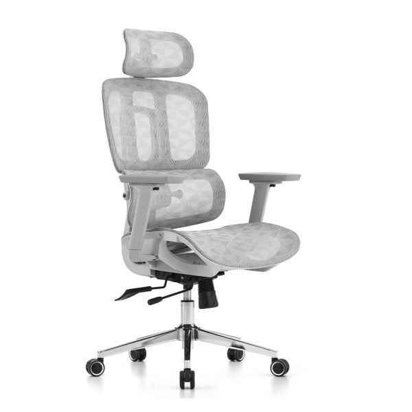 SKILLCHAIRS Ergo Venezia (Gray) prix maroc