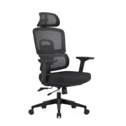 SKILLCHAIRS Ergo Viola – Chaise Ergonomique Professionnelle pour Bureau & Télétravail