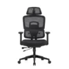 SKILLCHAIRS Ergo Viola – Chaise Ergonomique Professionnelle pour Bureau & Télétravail