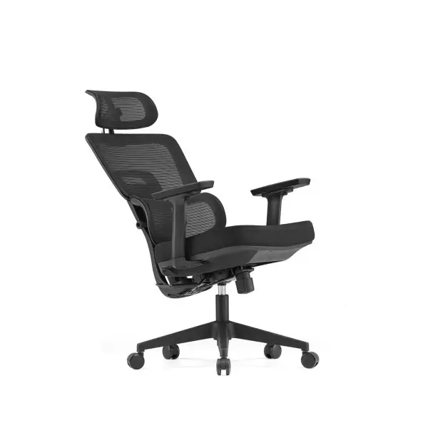 SKILLCHAIRS Ergo Viola – Chaise Ergonomique Professionnelle pour Bureau & Télétravail